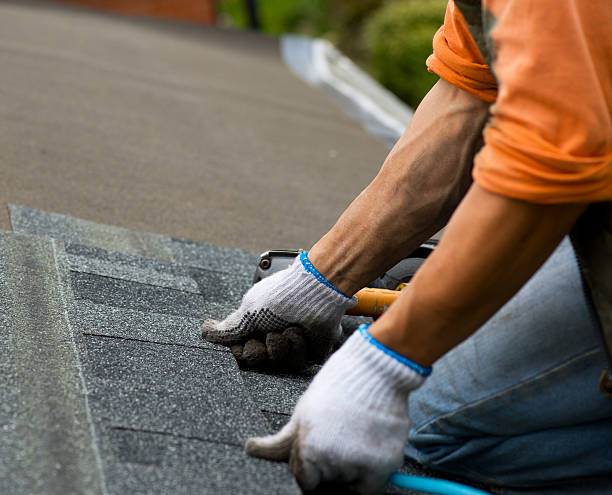 Best Roof Gutter Cleaning  in Lookout Mountain, AL